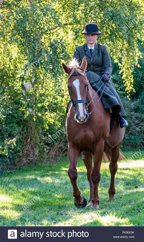 gesicht reiten|Fotos .